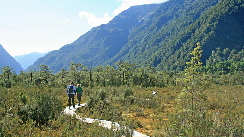 Join us for an incredible guided day adventure through the famous Milford Track, deep within the heart of the beautiful Fiordland National Park.